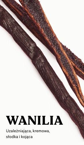 beauty_pink_scent_finder_vanilla_pl beauty_pink_scent_finder_vanilla_pl